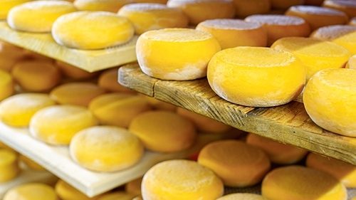 Gelagerter Käse (nur Bild)